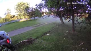 Woman Runs Stop Sign and Runs Over Tree