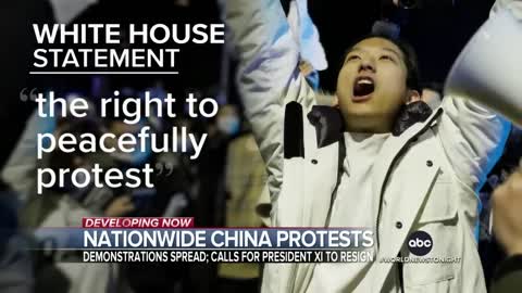 COVID-19 lockdown protests grow in China
