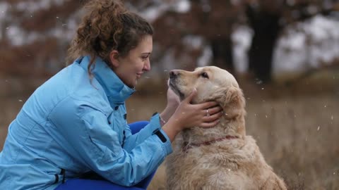 Positive excited young woman caressing her obedient labrador retriever in autumn park during a walk outdoors. Cute dog licking face of female owner while relaxing and bonding in nature in fall season🥰