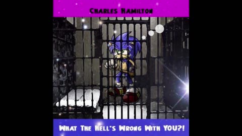 Charles Hamilton - What The Hell's Wrong With You?! Mixtape
