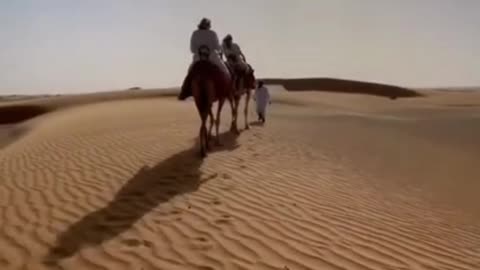 Camel riding