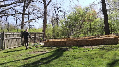 Straw Bale Garden Conditioning