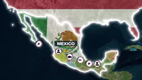 What's Stopping US Army From Attacking Mexican Cartels?