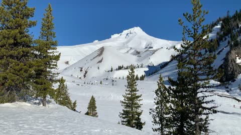 Mighty & Majestic – White River West Sno Park – Mount Hood – Oregon – 4K