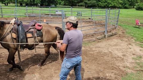 Groundwork for first ride