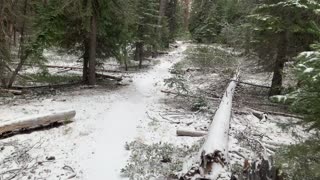 3X Triple Speed Snowy Forest Hiking – Central Oregon – Edison Sno-Park