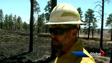 Mother Nature Winning The Battles: Wildfires rage out of control in US southwest