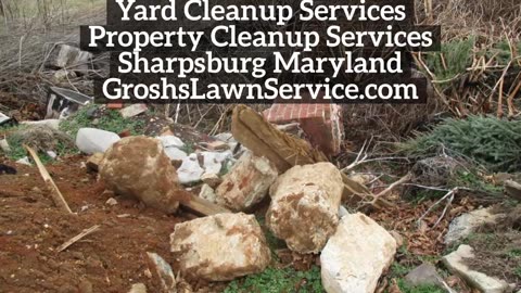 Yard Cleanup Sharpsburg Maryland Landscape