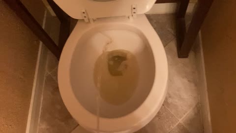 30 second urination