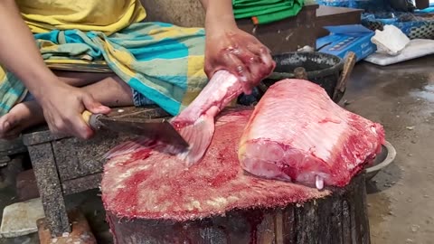 Pangash fish cutting