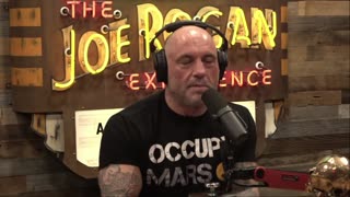 What If The Last Of Us Happened In Real Life | Joe Rogan Experience