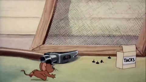 Tom & Jerry Sufferin Cats