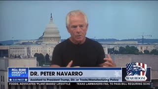 Peter Navarro - DeSantis is running on "Trump can’t win"