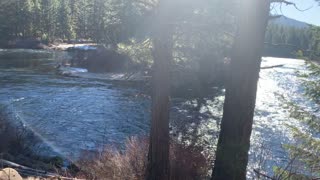 Shoreline Exploration – Metolius River National Recreation Area – Central Oregon