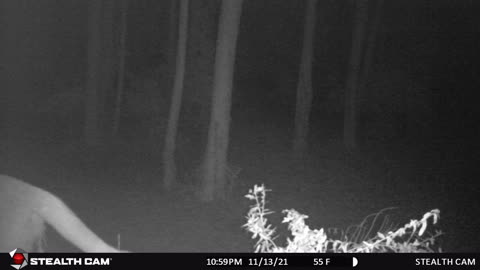 Trail Cam of the Grave Yard. Paranormal Hunt