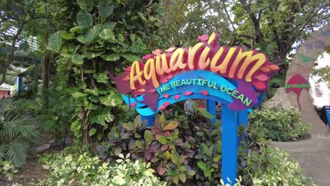 Top Things to Do at SeaWorld Orlando You Can’t Miss!