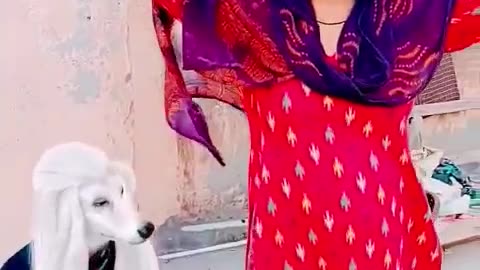 Funny Dog prank 2😃just for fun🤣