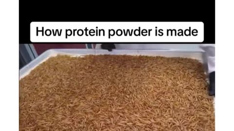 How protein powder is made works