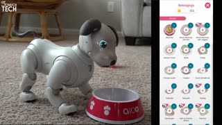 BEST SMART ROBOT DOGS 2024 - DON'T CHOOSE WRONG!