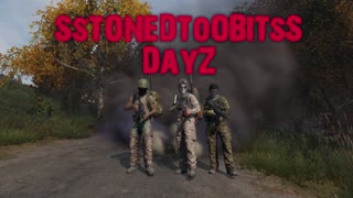 DayZ just some killz