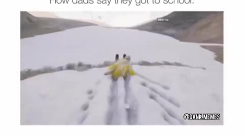 This is How Dads Say They Got To School!