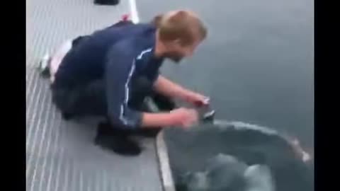 Guy drops his phone but this Beluga whale takes care of business:)