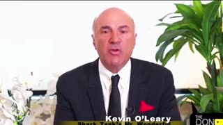 Kevin O Leary Schools Delisional Don Lemon Confronting Him on Supporting Trump