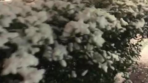 Snow falling in yokohama Japan