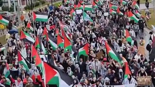 Michigan USA - Demonstrations in support of the Palestinians - ⚠️