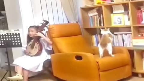 Cat and kids funny videos