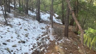 Hiking Overlooking Whychus Creek – Central Oregon