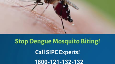 Mosquito Control in Goa