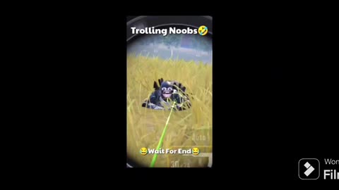 Trolling noobs