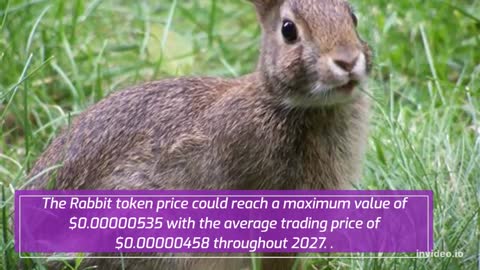 Rabbit Price Prediction 2022, 2025, 2030 | RBT Cryptocurrency Price Prediction