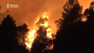 Firefighters battle Spain's first major wildfire of the year