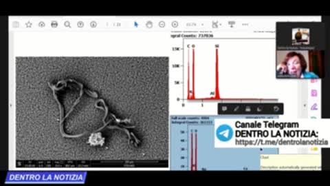 DOTT.SSA ANTONIETTA GATTI MONTANARI: HO ANALIZZATO AL MICROSCOPIO LA PIOGGIA