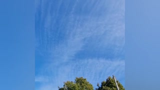 Chemtrails 11.10.2022