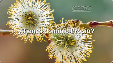 ¿ TIENES_DOMINIO_PROPIO ?