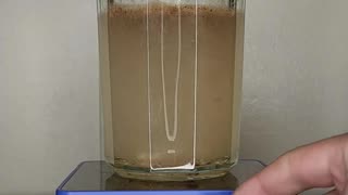 Magnetic Stirrer : Double Mocha Cappuccino