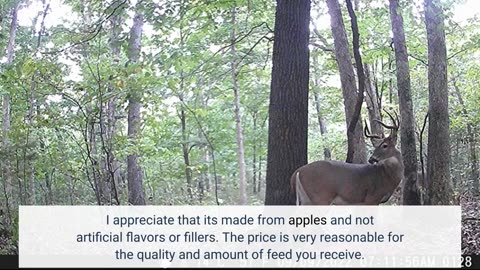 Customer Comments: Wildgame Innovations 00323 Apple - 5 lbs