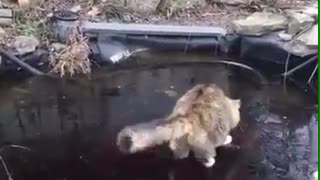 I'm gonna get you little fish...