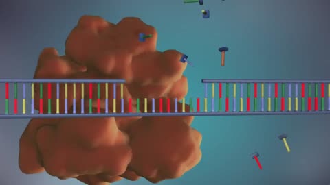 DNA REPLICATION.