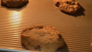 Yummy, freshly baked chocolate chip cookies..