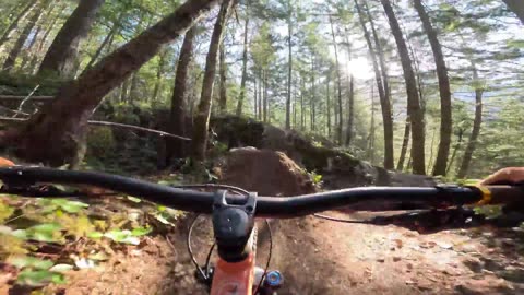 Insane Mountain Bike Crash: A Trail Disaster You Won't Believe