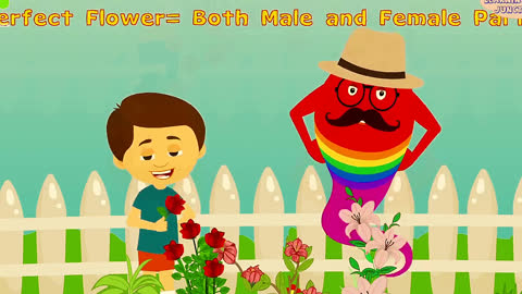 Parts of Flower | Pollination Video | Video for Kids