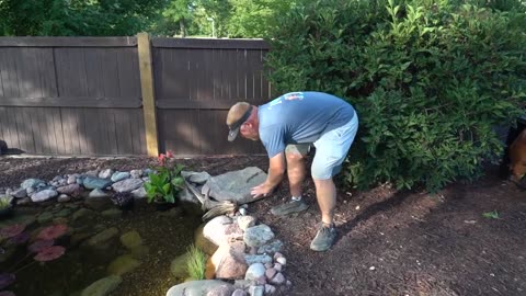 Landscaping Ideas for Your BACKYARD POND