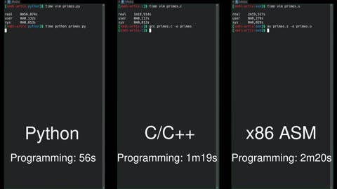 Python vs C/C++ vs Assembly