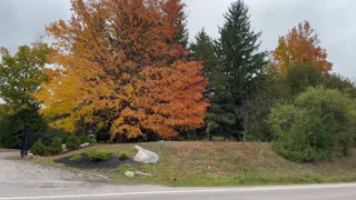 Fall view in Toronto