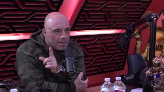 Joe rogan advice on podcasting and living