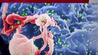 “Every virus since HIV has been a gain of function deployed ‘infection by injection’…HIV was spread